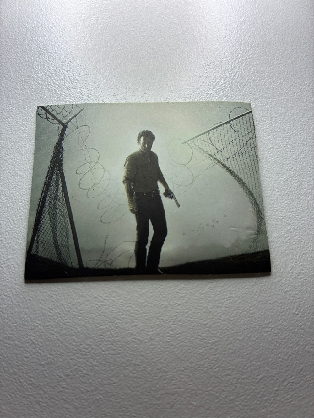 Walking Dead Magnet
